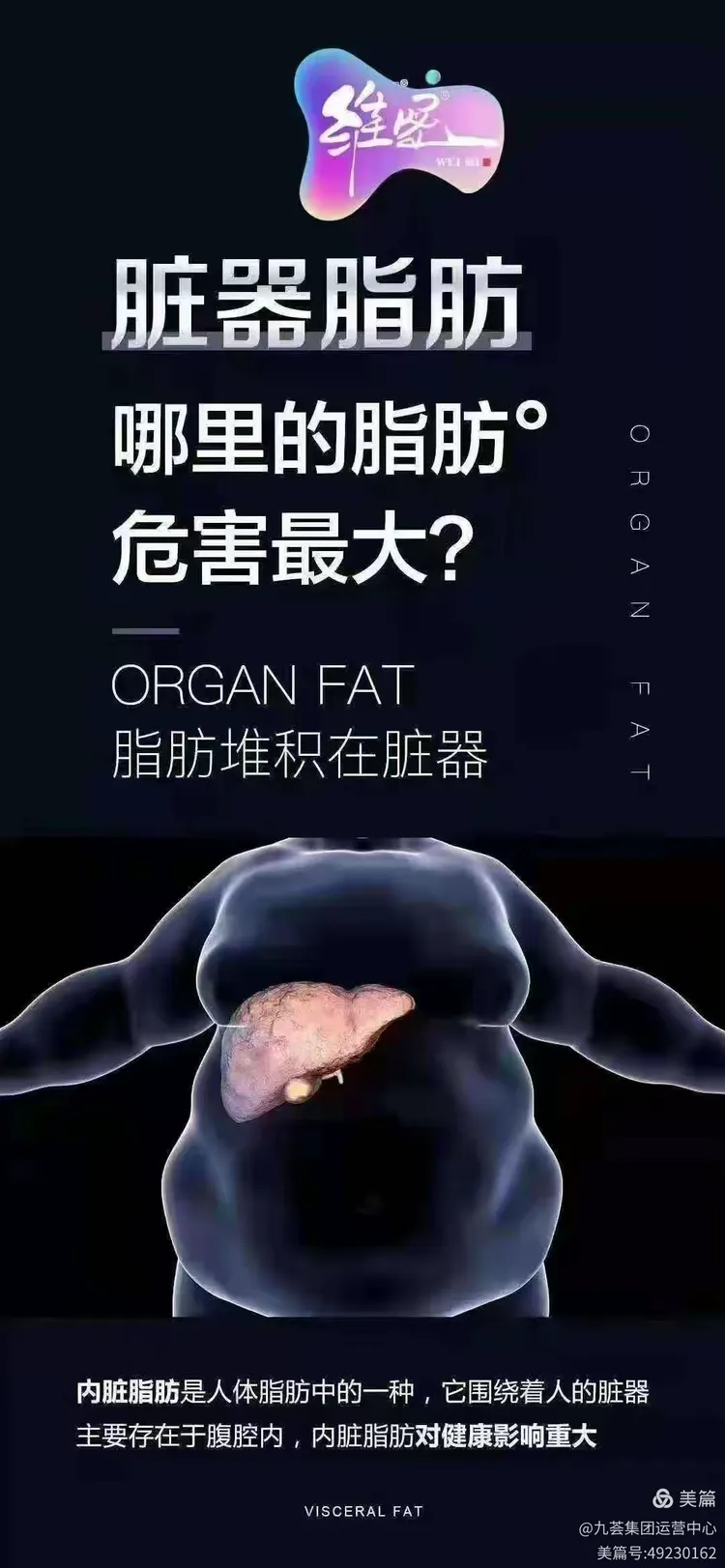 瘦人容易得内脏脂肪，还是胖人容易得内脏脂肪，内脏脂肪给身体带来的哪些危害？维密双排王告诉你答岸